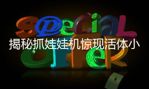 揭秘抓娃娃機驚現(xiàn)活體小貓背后的故事新聞