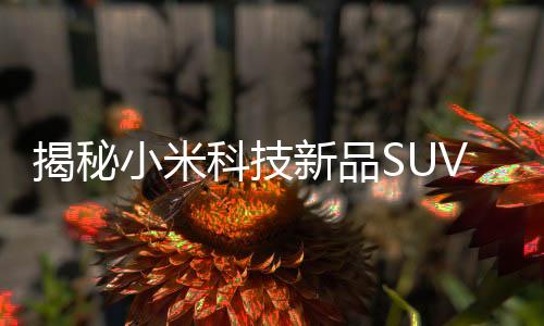 揭秘小米科技新品SUV車(chē)標(biāo)之謎，雷軍確認(rèn)SU7 Ultra車(chē)標(biāo)采用真金打造