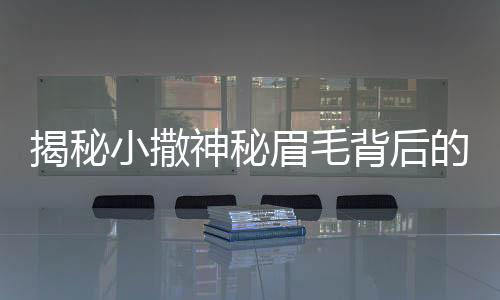 揭秘小撒神秘眉毛背后的故事，誰為他繪就藝術(shù)之眉？