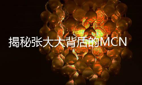 揭秘張大大背后的MCN，起底真相之路