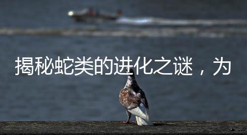 揭秘蛇類的進化之謎，為何逐漸失去四肢？