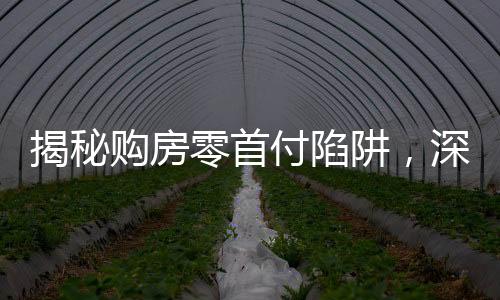揭秘購房零首付陷阱，深度剖析風險隱患