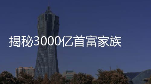 揭秘3000億首富家族藏龍臥虎的17年風(fēng)云史