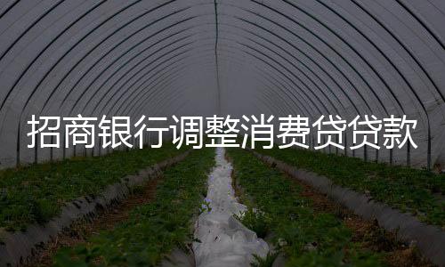 招商銀行調(diào)整消費(fèi)貸貸款期限，新政策帶來貸款市場的重大變化