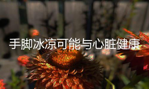 手腳冰涼可能與心臟健康有關(guān)，揭示原因及應(yīng)對(duì)措施