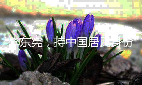 李東憲，持中國居民身份證何錯之有