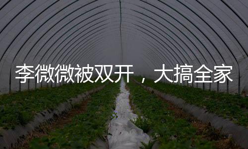 李微微被雙開，大搞全家腐