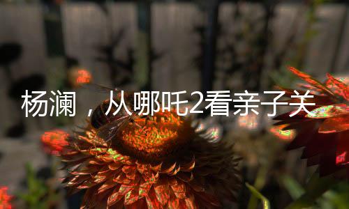 楊瀾，從哪吒2看親子關(guān)系