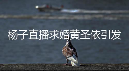 楊子直播求婚黃圣依引發(fā)爭議，現(xiàn)場被罵五分鐘