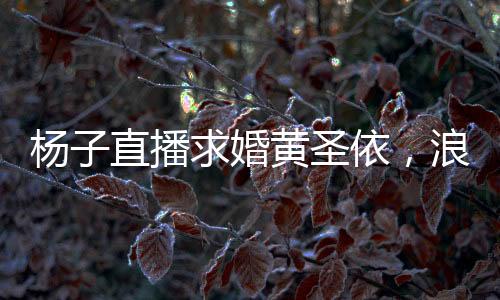 楊子直播求婚黃圣依，浪漫瞬間引發(fā)網(wǎng)友熱議