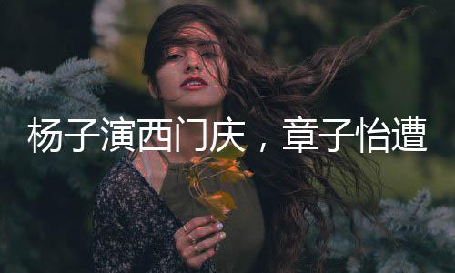 楊子演西門慶，章子怡遭遇工傷，兩大明星的跨界碰撞
