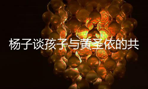 楊子談孩子與黃圣依的共同生活，家庭教育的多維度解讀