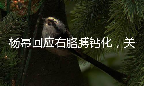 楊冪回應(yīng)右胳膊鈣化，關(guān)注健康，傳遞正能量