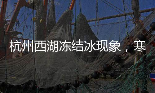 杭州西湖凍結冰現(xiàn)象，寒冬中的別樣美景