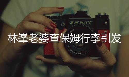 林峯老婆查保姆行李引發(fā)關(guān)注，事件背后顯現(xiàn)家庭管理與社會話題一二