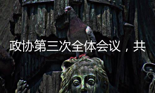 政協(xié)第三次全體會議，共商國是，聚焦發(fā)展