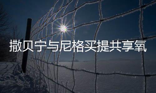 撒貝寧與尼格買提共享氧氣瓶，探險之旅的難忘瞬間