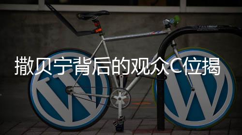 撒貝寧背后的觀眾C位揭秘，一場(chǎng)文化與視線的交匯