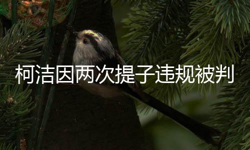 柯潔因兩次提子違規(guī)被判負(fù)，圍棋規(guī)則與競技精神的探討
