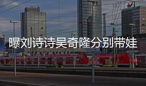 曝劉詩詩吳奇隆分別帶娃不同框，家庭生活的獨特細節(jié)揭秘