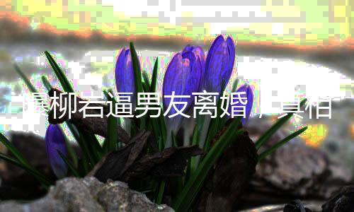 曝柳巖逼男友離婚，真相究竟如何？