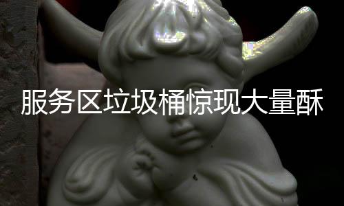 服務(wù)區(qū)垃圾桶驚現(xiàn)大量酥肉臘味，引發(fā)公眾關(guān)注與熱議