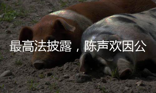 最高法披露，陳聲歡因公犧牲，深切緬懷他的杰出貢獻(xiàn)