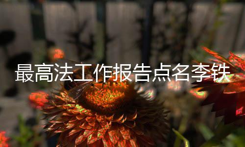 最高法工作報(bào)告點(diǎn)名李鐵杜兆才案，揭示體育界腐敗深層問題