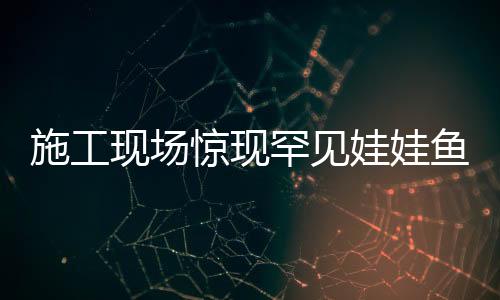 施工現(xiàn)場驚現(xiàn)罕見娃娃魚，一條魚的奇幻之旅揭秘保護之路