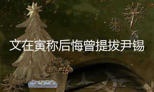 文在寅稱后悔曾提拔尹錫悅，決策背后的故事與反思