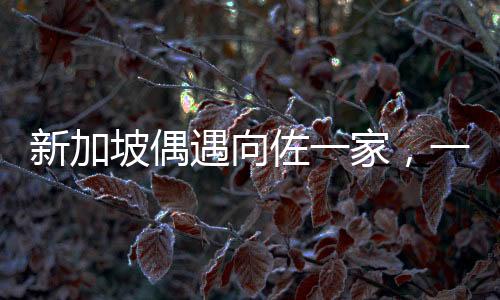 新加坡偶遇向佐一家，一次意外的驚喜之旅