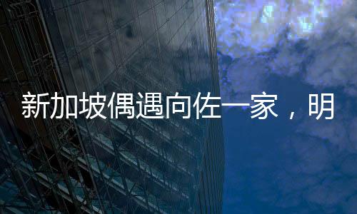 新加坡偶遇向佐一家，明星家庭的溫馨瞬間