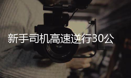 新手司機高速逆行30公里，驚魂一幕引發(fā)社會關注