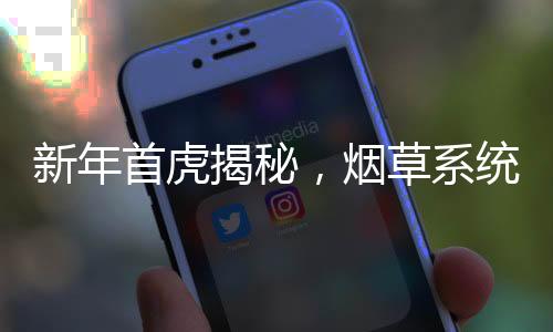 新年首虎揭秘，煙草系統(tǒng)資深人士的新征程