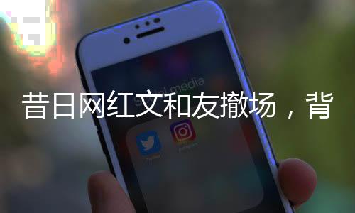 昔日網(wǎng)紅文和友撤場，背后原因深度解析