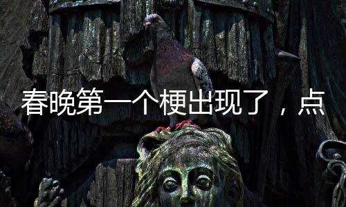 春晚第一個(gè)梗出現(xiàn)了，點(diǎn)燃全民歡樂之夜的一把火