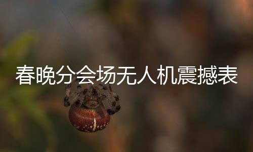 春晚分會場無人機(jī)震撼表演，科技與藝術(shù)的完美融合