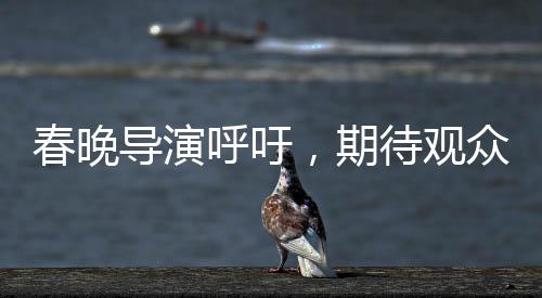 春晚導(dǎo)演呼吁，期待觀眾對我們多一些寬容