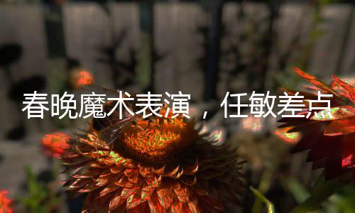 春晚魔術(shù)表演，任敏差點(diǎn)撕錯(cuò)紙，魔術(shù)背后的緊張瞬間
