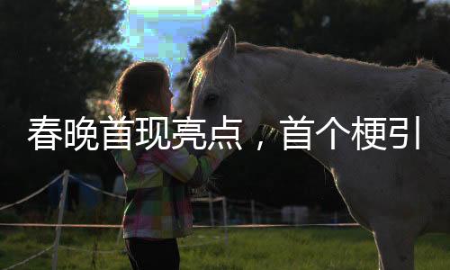 春晚首現(xiàn)亮點(diǎn)，首個(gè)梗引爆全場(chǎng)，觀眾熱議不斷