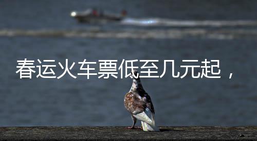 春運(yùn)火車票低至幾元起，優(yōu)惠來(lái)襲助力億萬(wàn)歸鄉(xiāng)心切的人回家團(tuán)圓