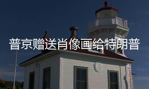 普京贈(zèng)送肖像畫(huà)給特朗普，中俄領(lǐng)導(dǎo)人的文化交流揭秘