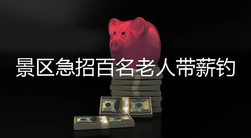 景區(qū)急招百名老人帶薪釣魚，探索養(yǎng)老新方式