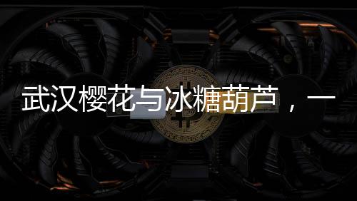 武漢櫻花與冰糖葫蘆，一場別樣的文化交融之旅