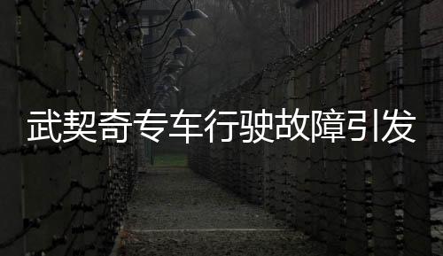 武契奇專車行駛故障引發(fā)關(guān)注，細(xì)節(jié)揭示事件全貌
