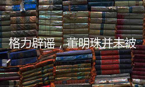 格力辟謠，董明珠并未被停職審查