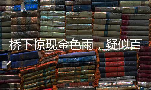 橋下驚現(xiàn)金色雨，疑似百元大鈔灑落，知情人揭秘背后真相