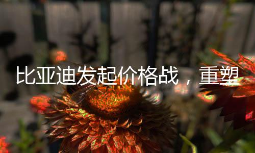 比亞迪發(fā)起價格戰(zhàn)，重塑行業(yè)格局