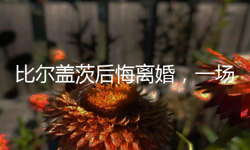 比爾蓋茨后悔離婚，一場(chǎng)引人注目的科技巨頭婚姻背后的故事