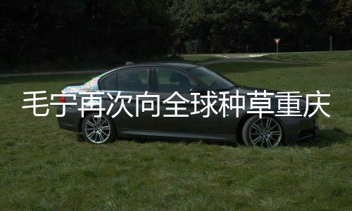 毛寧再次向全球種草重慶李子壩站，城市新地標引領(lǐng)潮流新風(fēng)尚